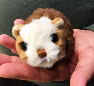 Marsvin Baby Piggy, 10cm - Bukowski Design - Nallar & mjukisdjur