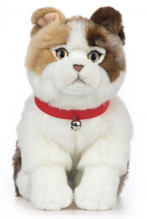 Scottish fold (Katt) - Keycraft Living Nature - Nallar & mjukisdjur