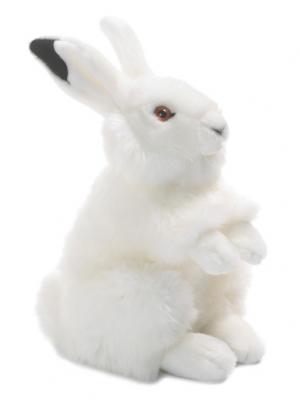 Vinterhare - WWF (Världsnaturfonden) Present