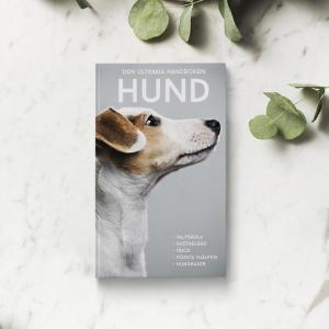 Den ultimata handboken Hund Present