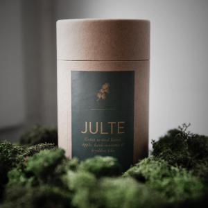 Julte - Ernst Kirchsteiger Present