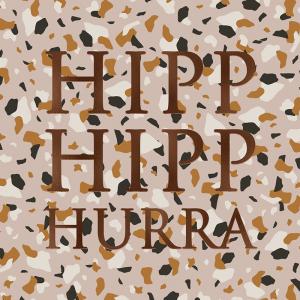 Kort Hipp Hipp Hurra (flerfärgad, folierad text) Present
