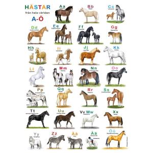 Affisch "Hästar ABC" Present