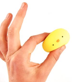 Squeeze Kyckling Present