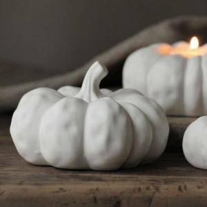 Pumpa Dekoration (11x5cm) - Majas lyktor/ Barncancerfonden Present
