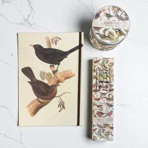Presentset Birds (Anteckningsbok, pennor & doftljus) Present