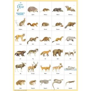 Affisch Svenska Djur - Doppresenter