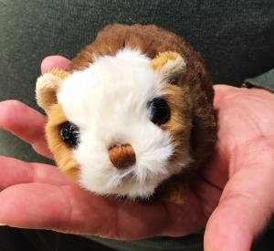 Marsvin Baby Piggy, 10cm - Bukowski Design - Doppresenter